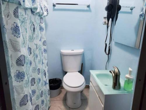a bathroom with a toilet and a shower curtain at Spacious 2 BR, fully equipped kitchen close to Ferry, Unit 5 in Catano