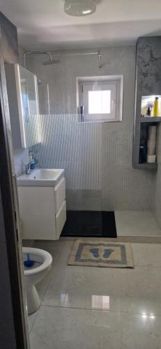 ein Bad mit einem WC und einem Waschbecken in der Unterkunft Apartament Roman in Roman