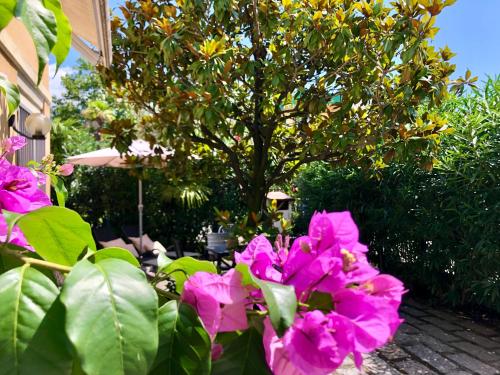 un grupo de flores rosas delante de un árbol en Appartamento villatorretta24, en Riva del Garda