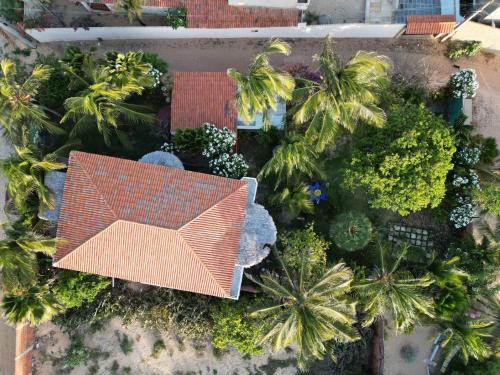 an overhead view of a patio with trees and plants at Charming blue house with kitchen parking and garden in Canoa Quebrada
