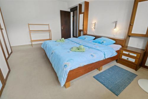 a bedroom with a large bed with blue sheets at Appartement au coeur du vignoble in Salgesch