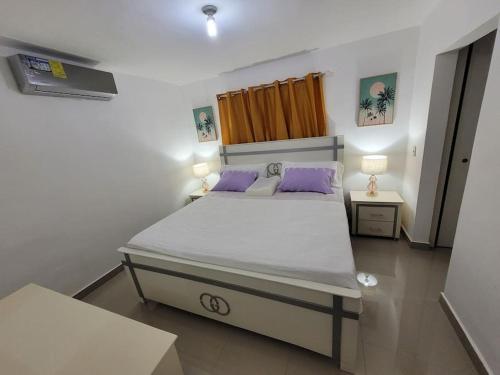 een slaapkamer met een groot bed met paarse kussens bij El mejor alojamiento en Santiago in Santiago de los Caballeros