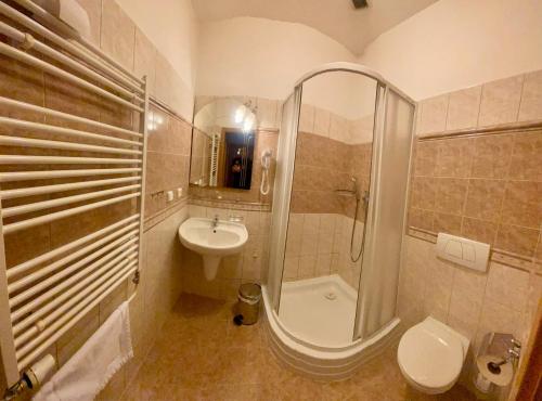 een badkamer met een douche, een wastafel en een toilet bij Penzion Černý Kůň in Hradec Králové