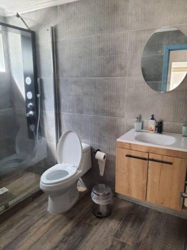 La salle de bains est pourvue de toilettes, d'une douche et d'un lavabo. dans l'établissement Casa familiar en el campo, 