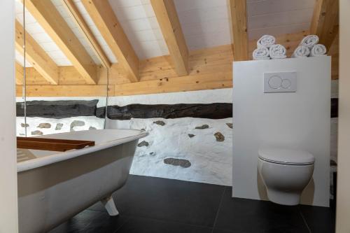 ein Badezimmer mit einer Badewanne, einem WC und einer Badewanne in der Unterkunft Verzasca Lodge Ofelia in Sonogno