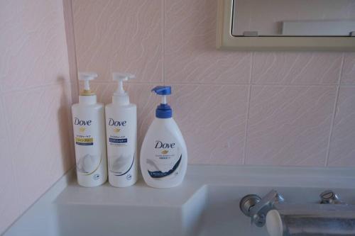 two bottles of cleaner sitting on a bathroom sink at ワタリグラスハウス in Gamō