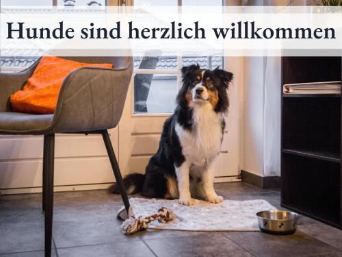 um cão sentado num tapete ao lado de uma cadeira em Blumenvilla 8 mit Sauna und Garten em Schneverdingen