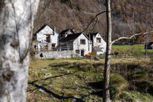 Φυσικό τοπίο κοντά σε αυτή η παραθεριστική κατοικία
