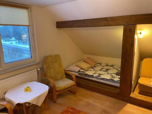 a room with a bed and a chair and a window at Apartament U Joli in Tylicz