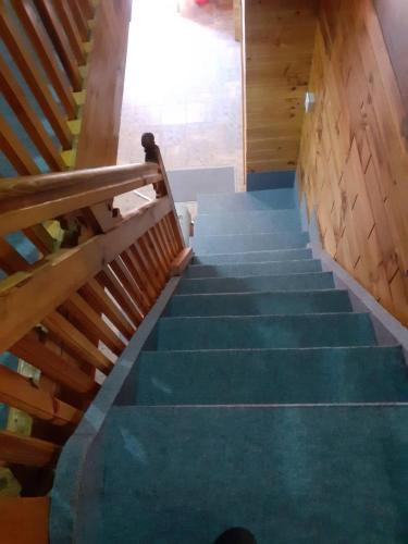 a staircase with green carpet and a wooden stair case at Tribeni Lodge Restaurant And Bar in Phakding