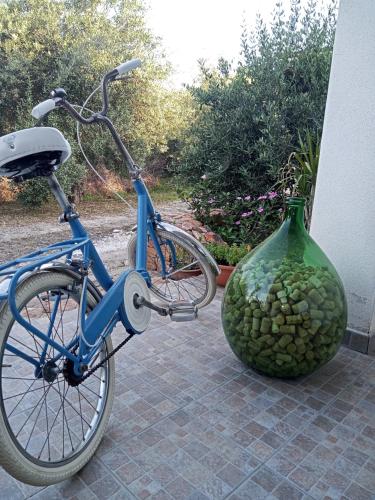 B&B S'Incantu في سانت آنا أريسي: دراجة زرقاء متوقفة بجوار مزهرية كبيرة