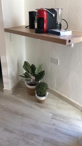 two potted plants sitting under a shelf on a wall at Domus Alessia in Monserrato