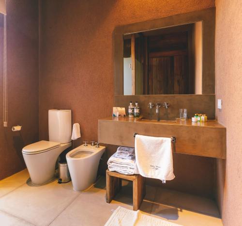 a bathroom with a toilet and a sink and a mirror at Rosell Boher Winery Lodge & Spa in Agrelo