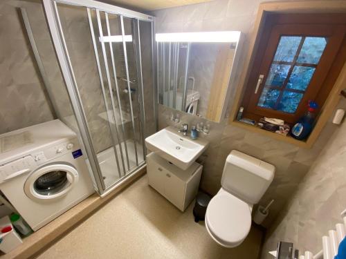 a bathroom with a shower toilet and a sink at Birchihaus in Beatenberg