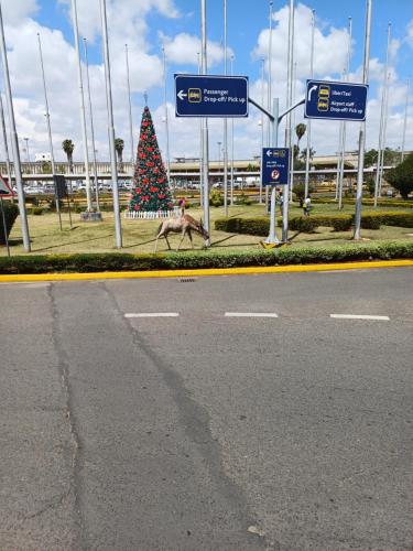 uma árvore de Natal ao lado de uma estrada em BERNKISH HOMES em Nakuru