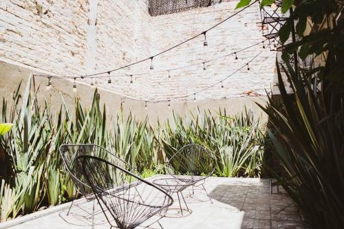 dos sillas sentadas en un jardín con plantas en Casa Balam Condesa, en Ciudad de México