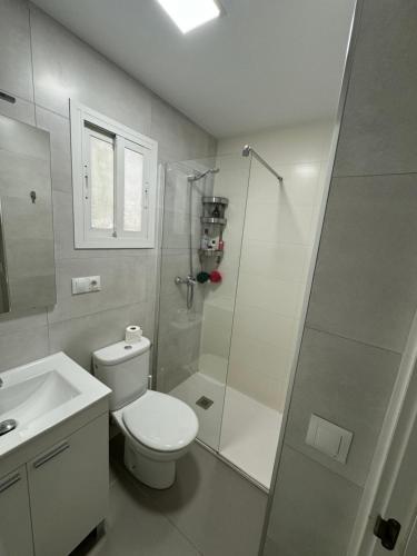 a bathroom with a shower and a toilet and a sink at MALAGA BEACH, PEDREGALEJO Apt.4/6 2 Hab. in Málaga