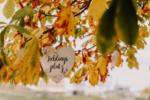 a heart shaped sign hanging from a tree at Weingut Sternat vlg. Schmalzpeter in Arnfels