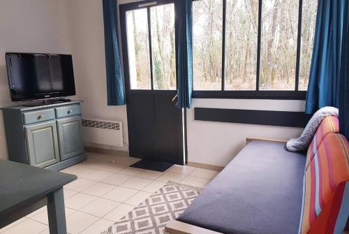 een woonkamer met een bank en een tv bij maisonnette 6 pers dans résidence avec piscine in Arès