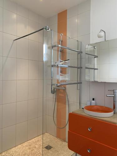 une salle de bain avec une douche avec des toilettes et un lavabo dans l'établissement Chez Aurore, à La Sauvetat