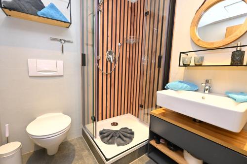 a bathroom with a shower and a toilet and a sink at Alp-Chalet in Hirschegg