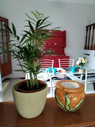 a plant in a pot sitting on top of a table at Buen Retiro - Bellona in Bellona