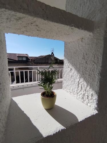 a plant in a pot sitting on a window sill at Buen Retiro - Bellona in Bellona