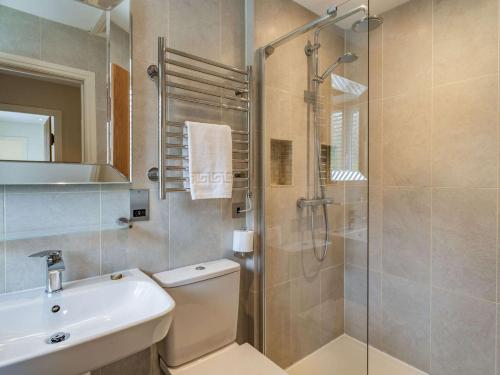 a bathroom with a shower and a toilet and a sink at 2 Bed in Satterthwaite and Grizedale LLH49 in Grizedale