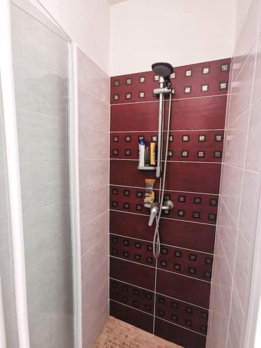La salle de bains est pourvue d'une douche et d'un mur rouge. dans l'établissement Jolie villa à Erbalunga- a deux pas de la plage, à Brando
