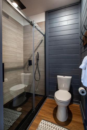 a bathroom with a toilet and a shower at Chalet Amelia Lake View HotTub Fireplace Arcade in Dandridge