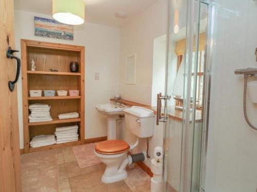 a bathroom with a toilet and a sink and a shower at The Milk House in Fortrose