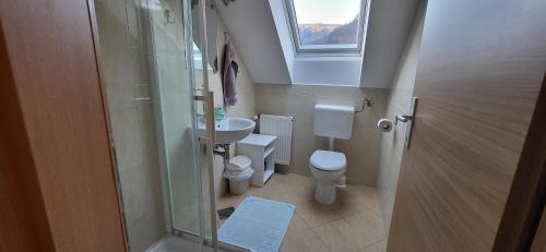 a small bathroom with a toilet and a sink at Apartments & Hostel Bohinj in Bohinj