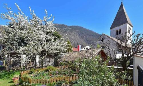 an old church with a church steeple and a garden at Wohnung Elstar Schnalserhof in Laces