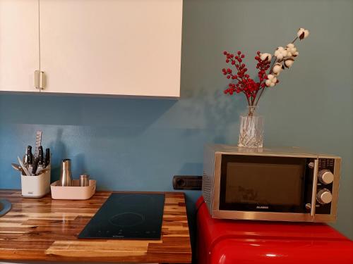 una cucina con televisore e un vaso di fiori su un tavolo di Appartamento in Pomposa, nel cuore della città a Modena