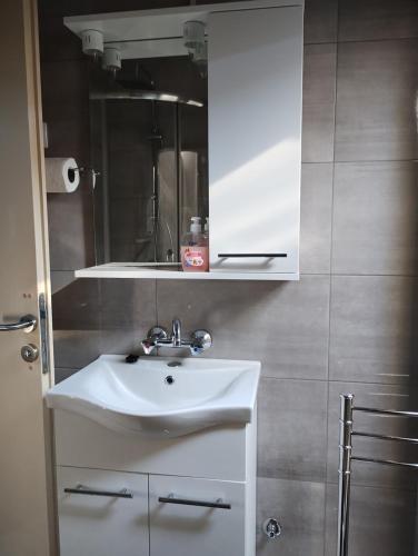 een badkamer met een wastafel en een spiegel bij Hostel SuzZzy in Novska