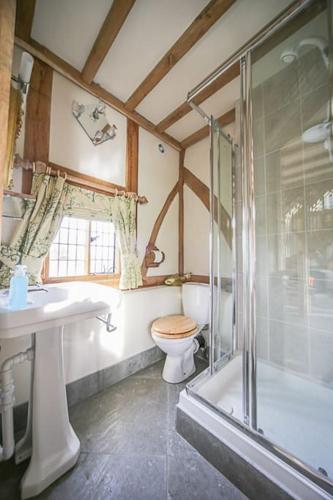 a bathroom with a toilet and a shower and a sink at Ebony Cottage in Tenbury