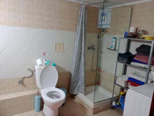 a bathroom with a toilet and a shower at H&M Prive HOME MÀRGARITES RETHYMNO 115sqm in Margarítai