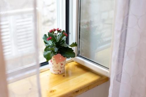 a potted plant sitting on a window sill at Apartment Centar in Dubrovnik