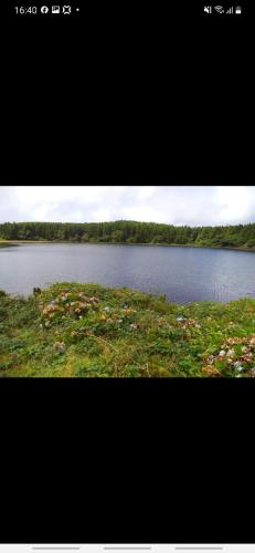 a large body of water with grass and flowers at Casa vicente in Santa Cruz das Flores