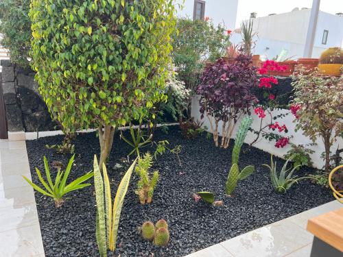 Finca Thiago – Photos 5