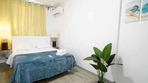 a bedroom with a bed and a potted plant at Caribbean Stars San Juan Airport in Carolina