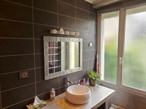 a bathroom with a sink and a mirror at Luxury pavilion, terrace, jacuzzi, Olympics 2024 in Orly