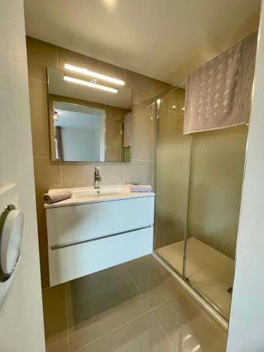 une salle de bain avec un lavabo et une douche dans l'établissement Maison de campagne entre Ajaccio et Porticcio, à Cauro