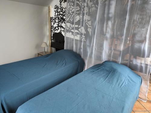 a bedroom with two beds and a curtain at LE GITE DE RICHEMONT in Lachapelle-Saint-Pierre