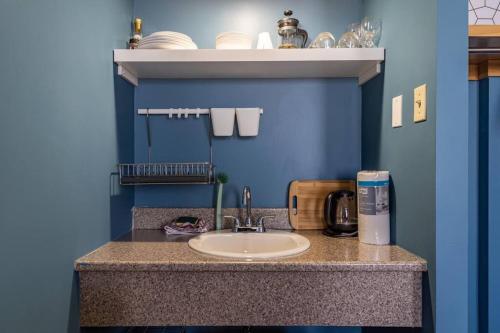 um balcão de casa de banho com um lavatório e uma parede azul em Urban Nest Studios em Halifax