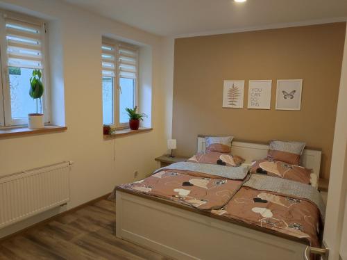 um quarto com uma cama e duas janelas em Apartmán pro rodinu, kamarády 