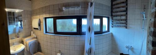 a bathroom with a window and a toilet and a sink at Trusties in Dirbach