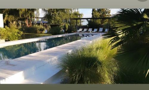 a swimming pool with lounge chairs and a palm tree at Finca La Puebla in La Consulta