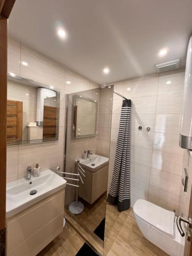 a bathroom with a sink and a toilet and a mirror at Apartman New York in Podhájska
