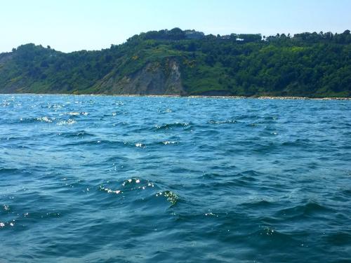 a large body of water with a mountain in the background at Hotel Alexander in Gabicce Mare